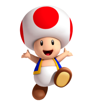 Toad